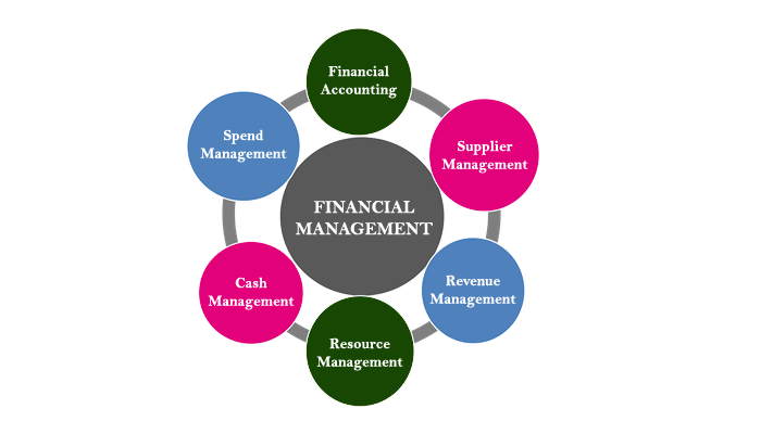 What Does Financial Management Mean In Business